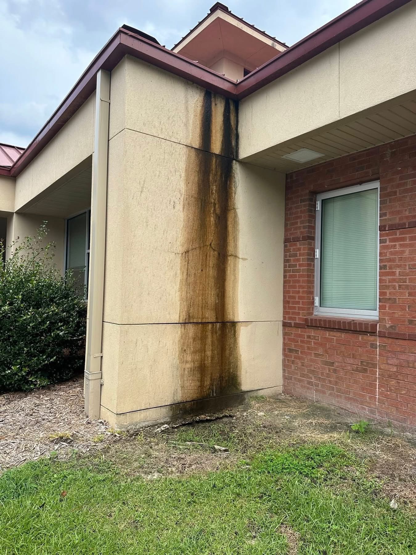 Reed Pressure Washing