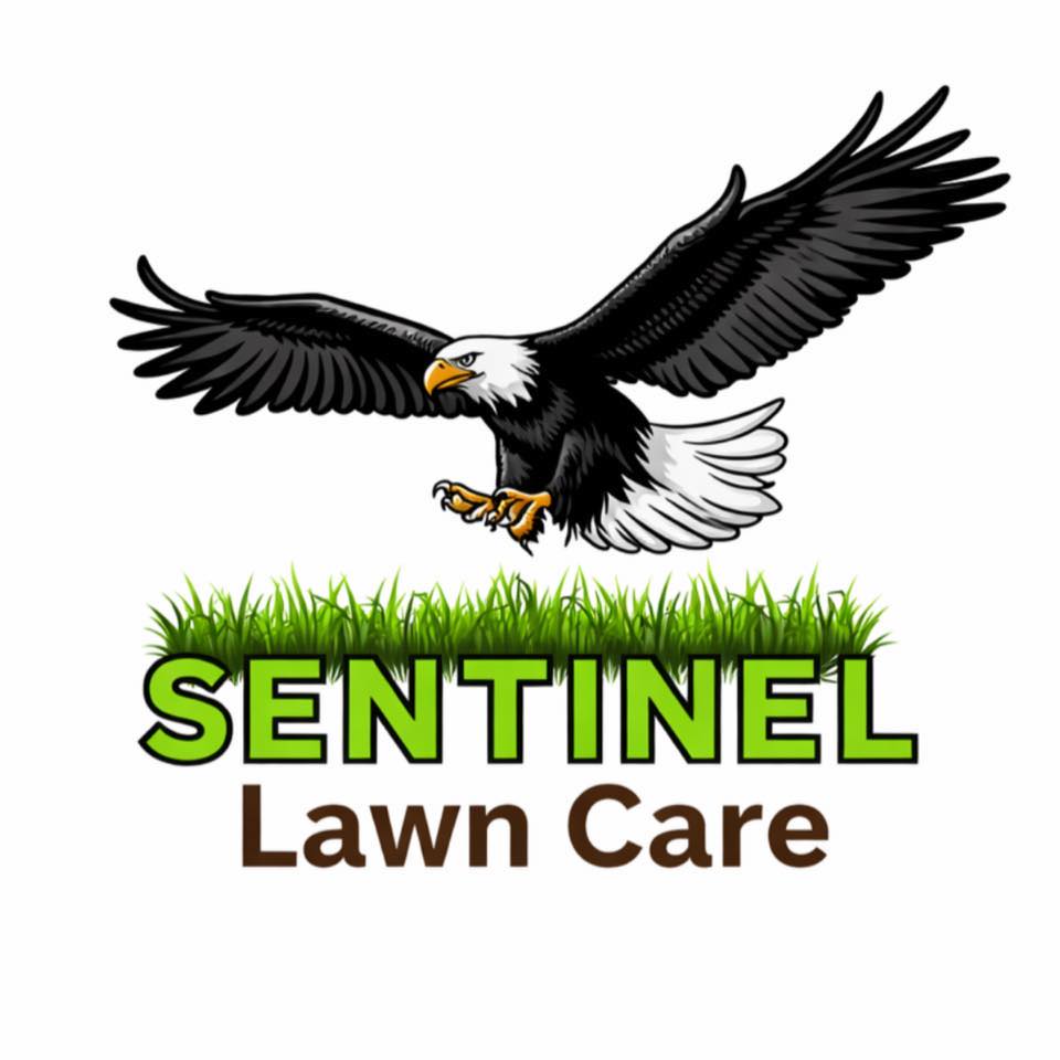 Gutter Cleaning #sentinellawncare #lawncare #landscaping #pavers # ...