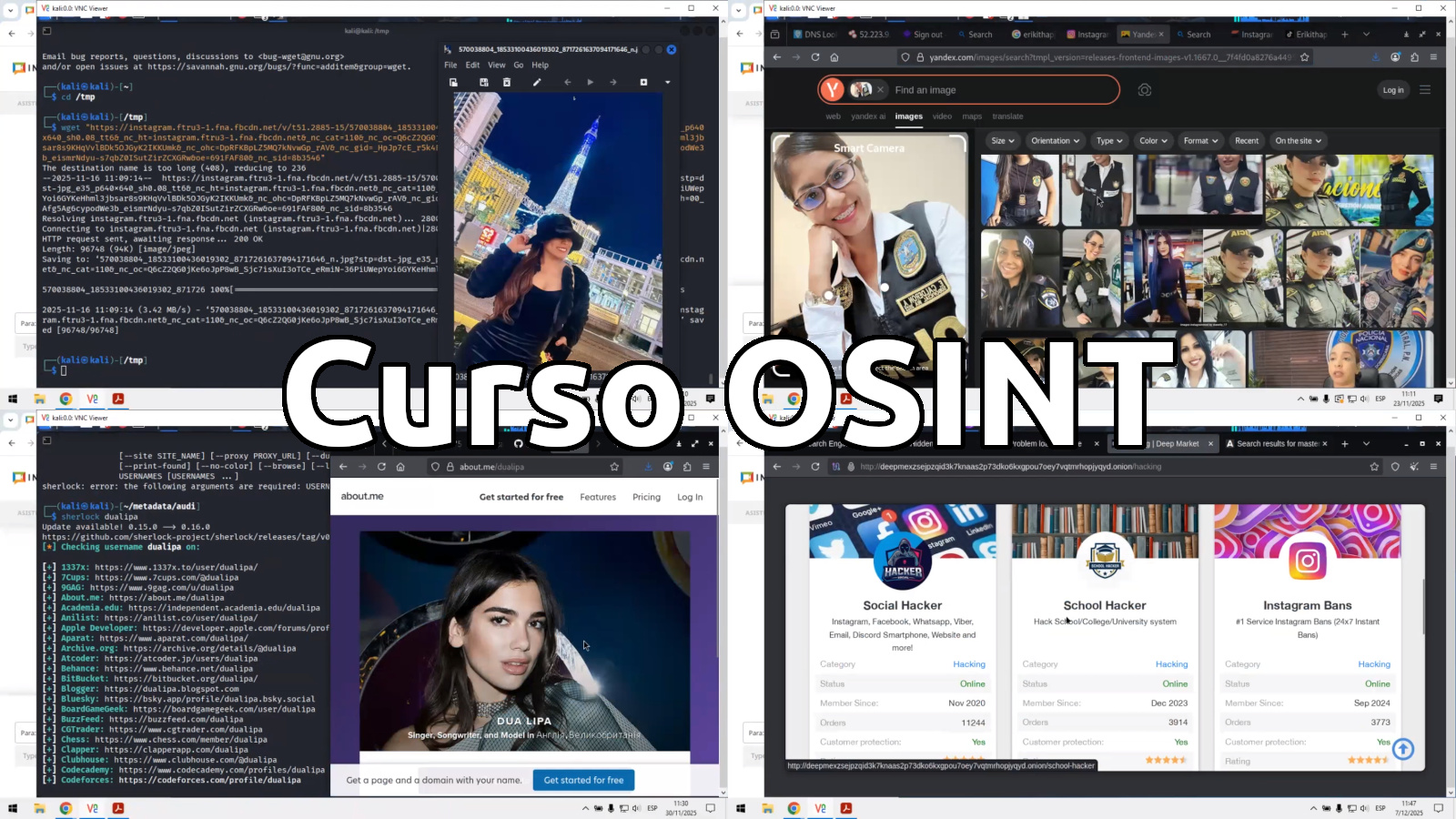 Alonso - 🕵️ El Curso de OSINT - Open Source Intelligence 2025 está ...