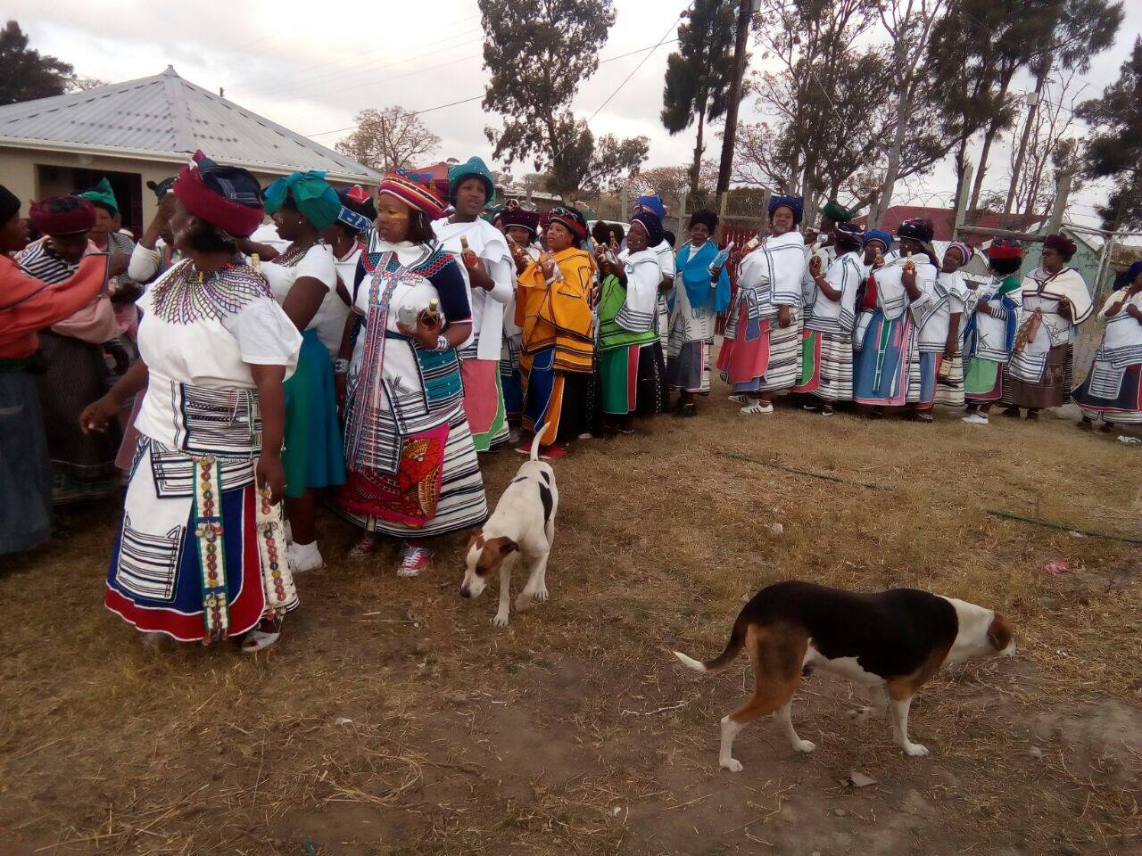 XhosaCulture - Imazi zekhaba, amazibazana aseMzwini... | Facebook