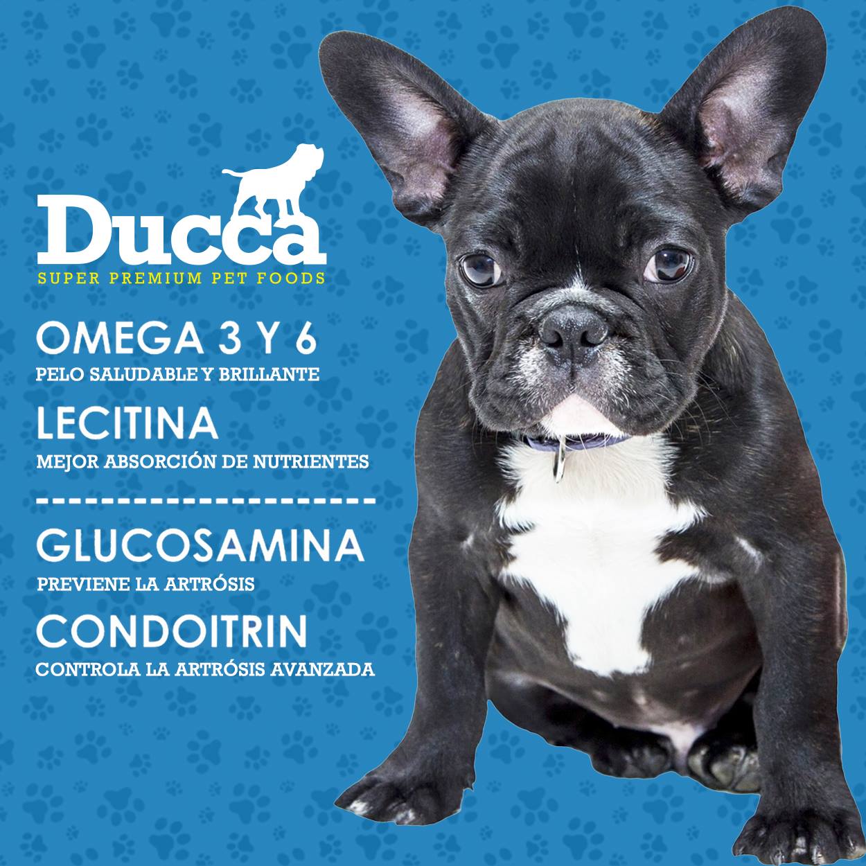 DUCCA - ¡Conoce las propiedades de DUCCA! Un alimento con... | Facebook