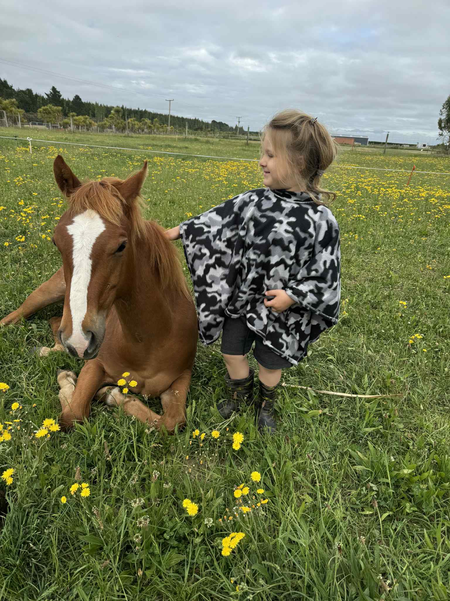 Running M Ranch - New Zealand | Rangiora