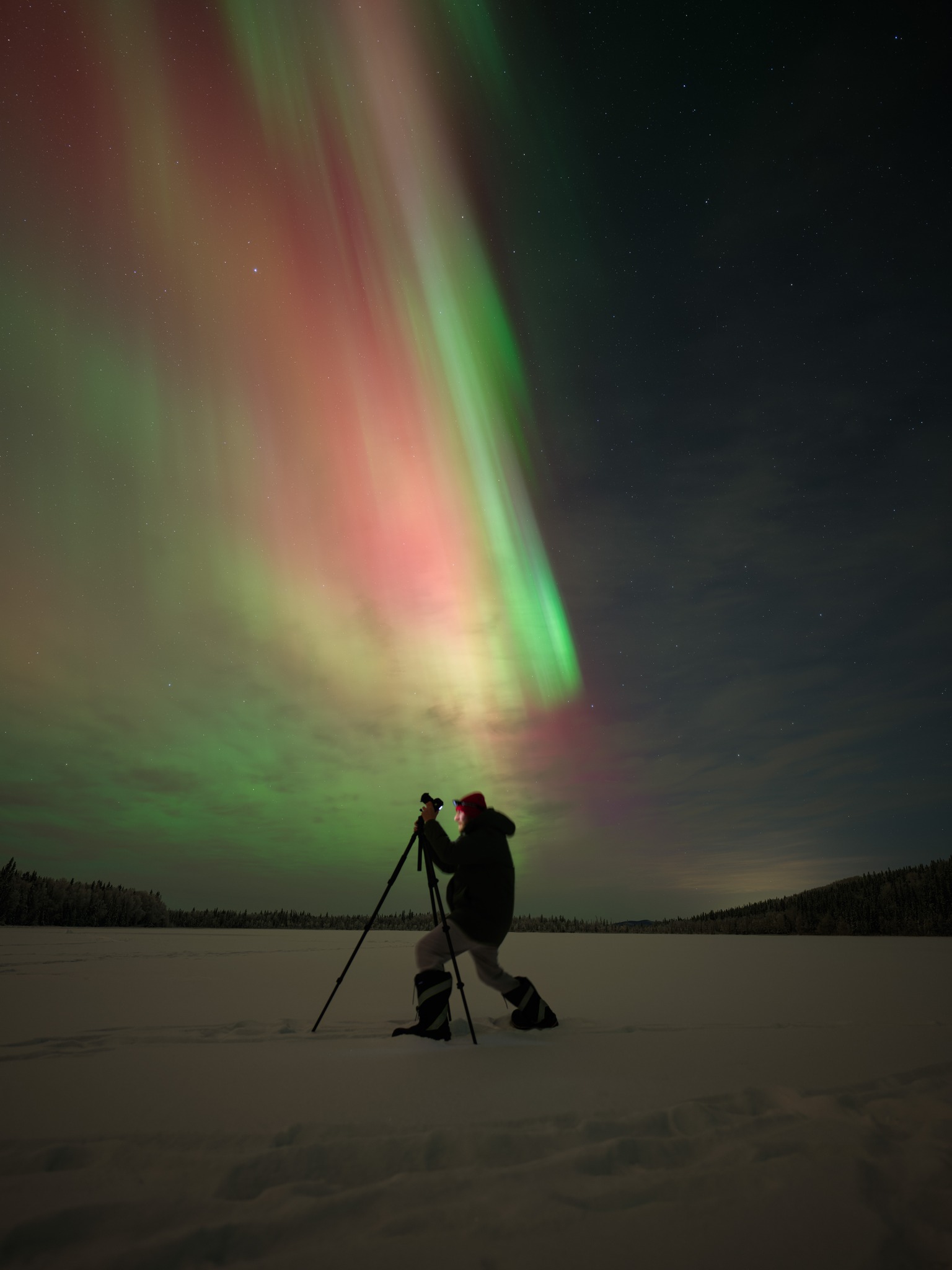 Crazy filament launch just now from the Sun's northern hemisphere. This ...