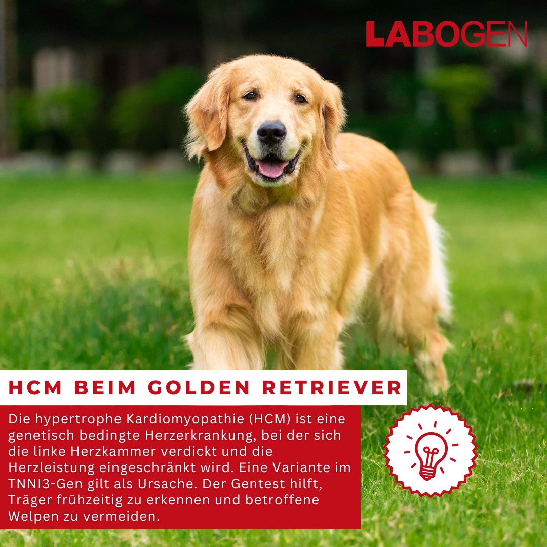 Labogen - Die Genetik von Laboklin | Bad Kissingen