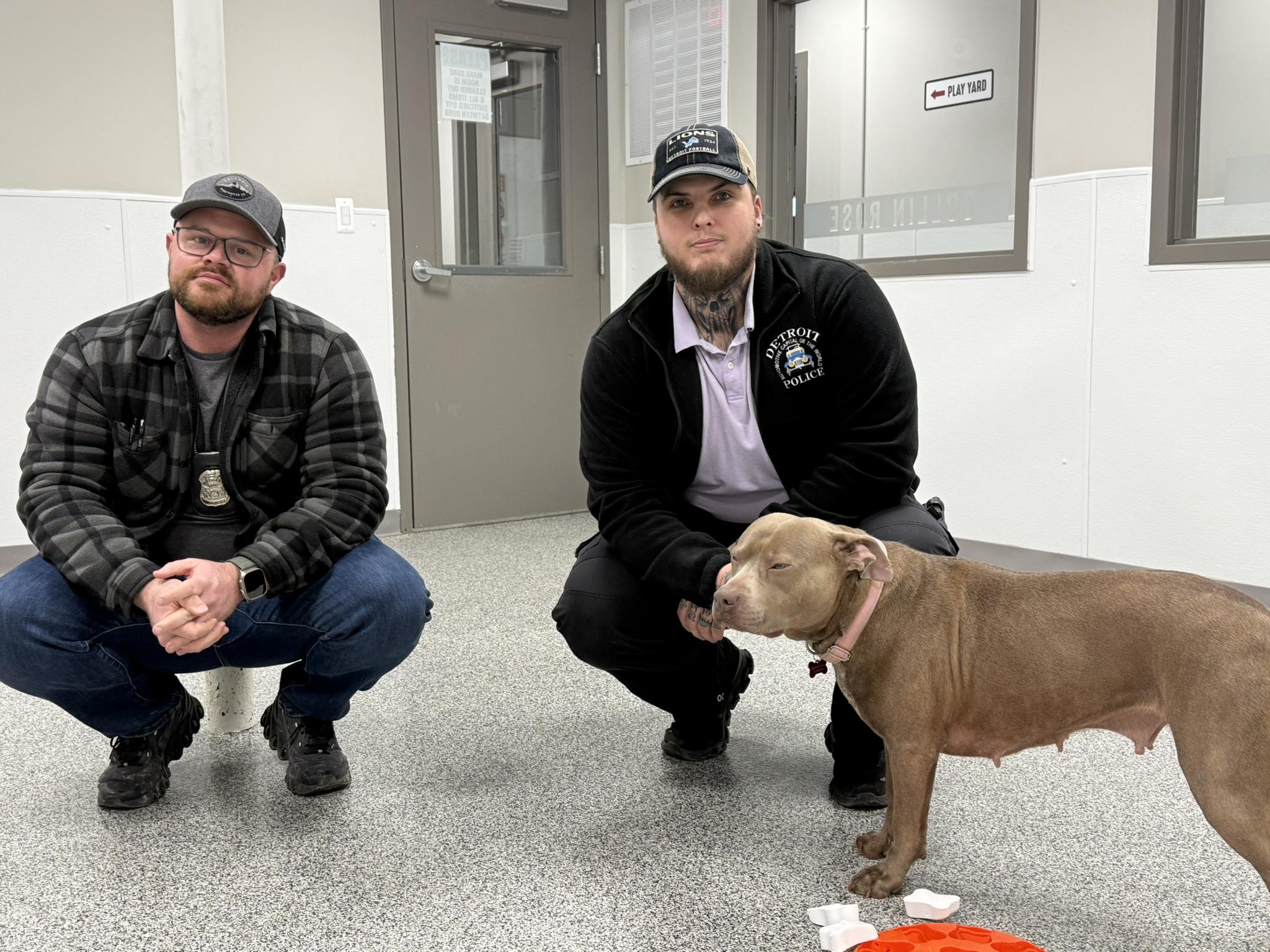 Detroit Dog Rescue | Detroit MI