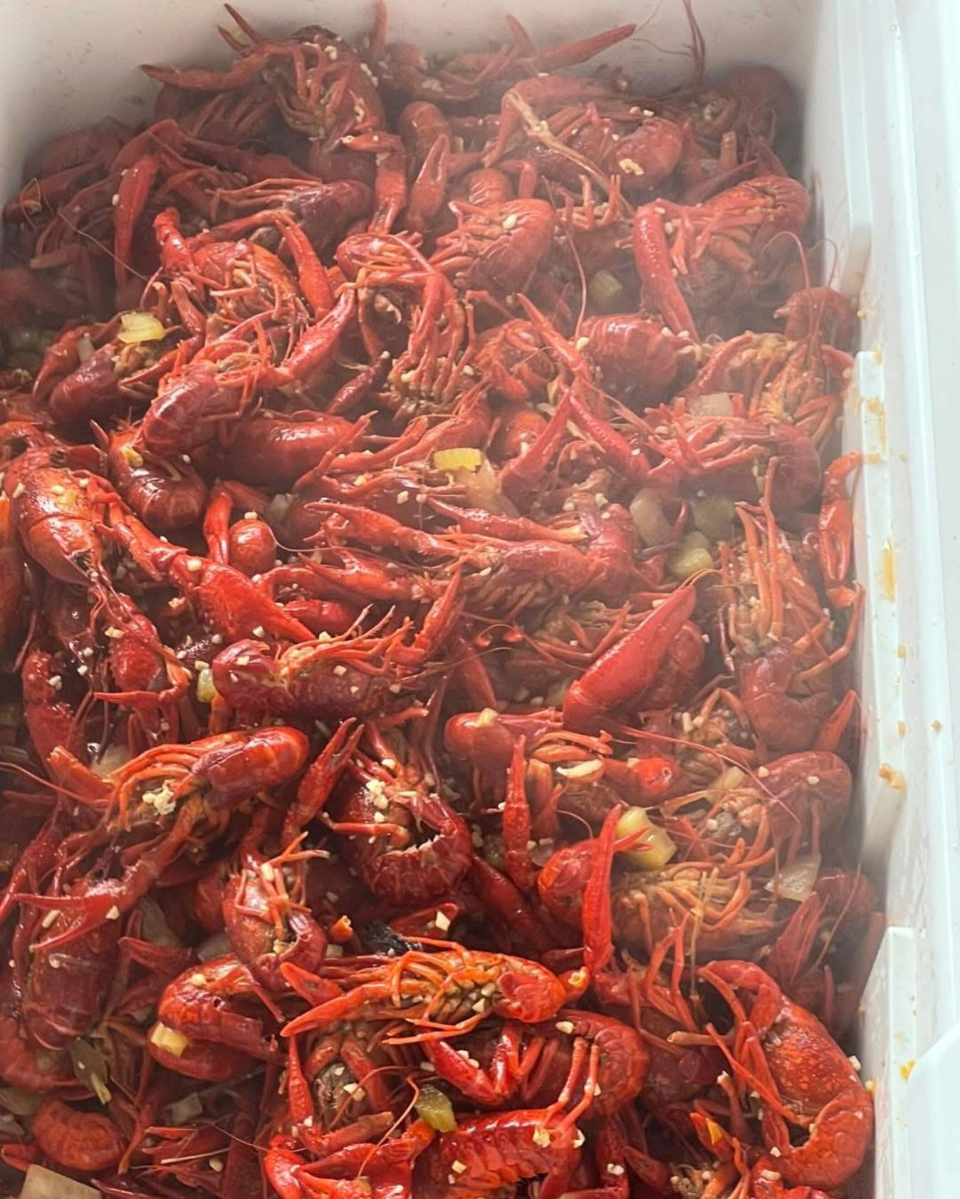 Visit - Calling all musicians! Bands On The Beach 2026 scheduling is ...