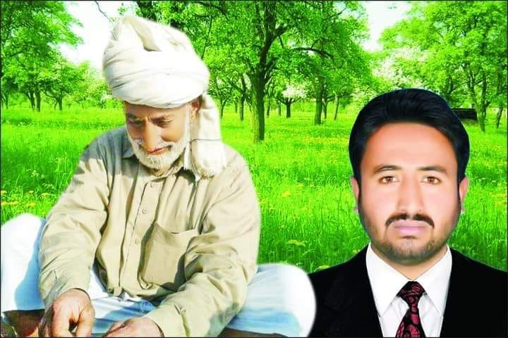 عامر نزر گبول