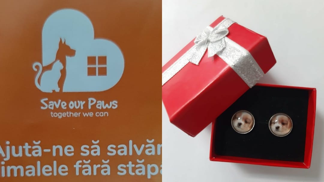 Save Our Paws