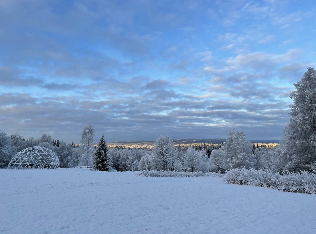 Solöga