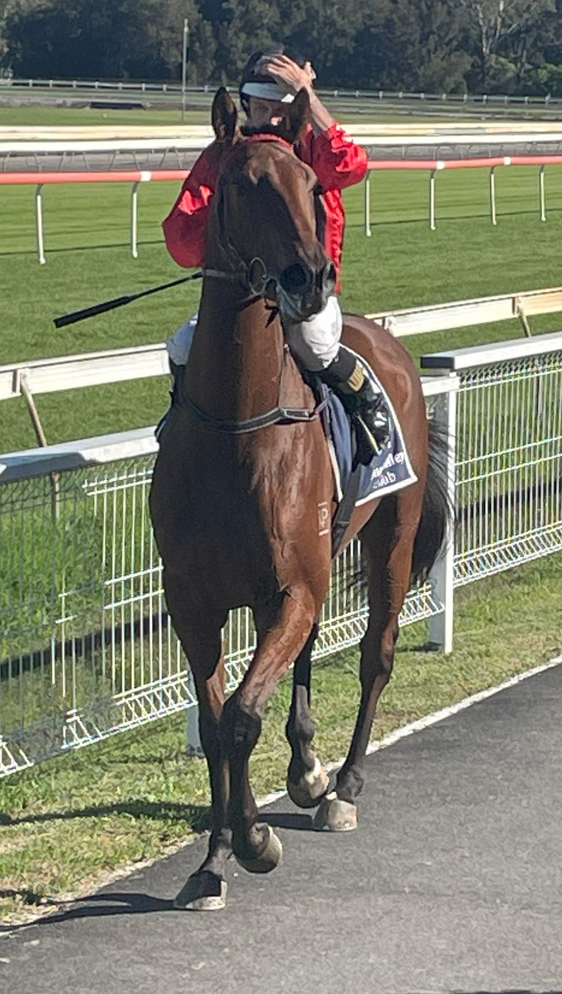 Manning Valley Race Club - Nominations for our next race meeting on ...