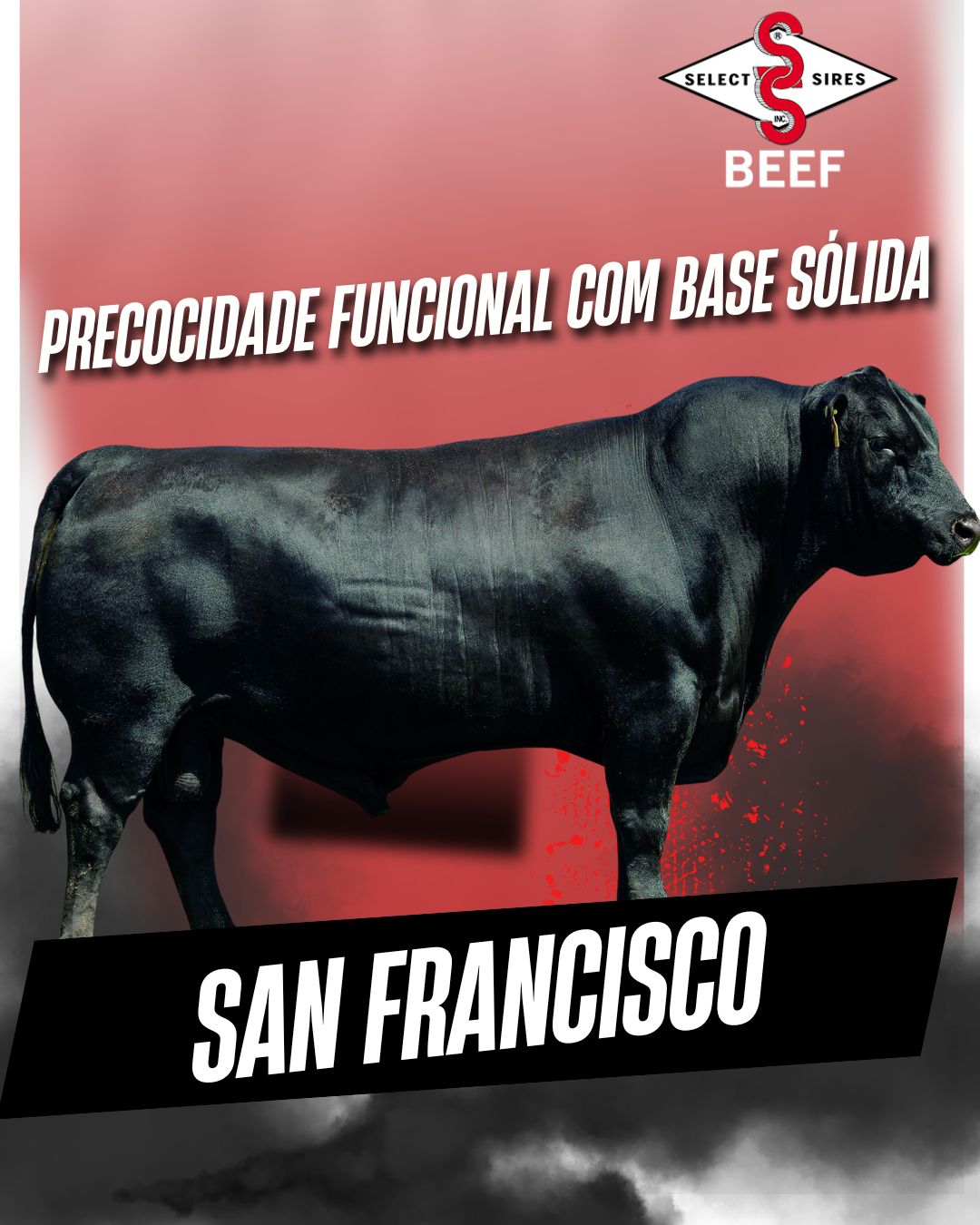 Select - 💥 Destaque Select Beef apresenta: 🔥 SAN FRANCISCO🔥 Filho do ...