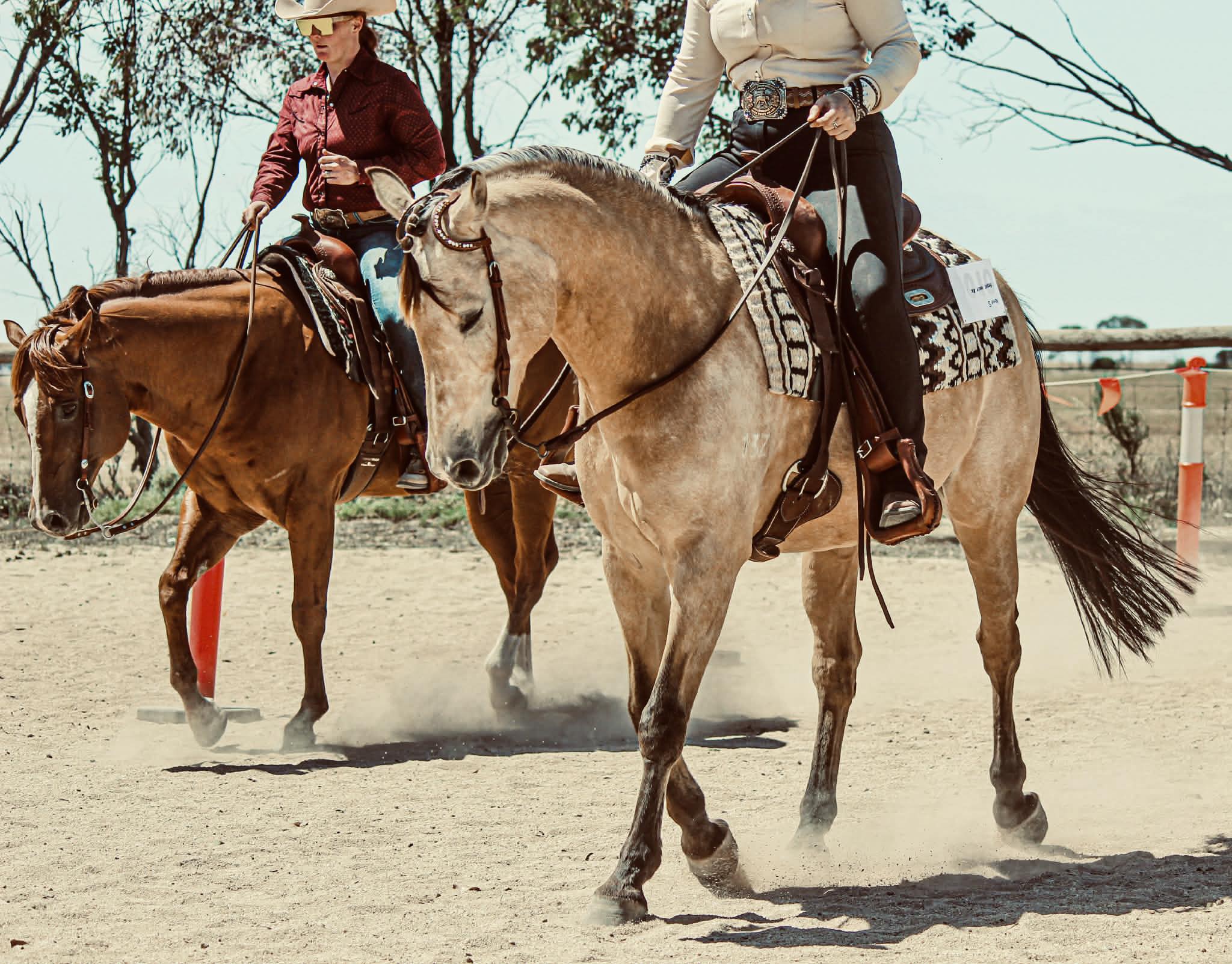 🌻 MPEQ TRAINING DAY - 3rd January 🌻... - Moore Park Equine | Facebook