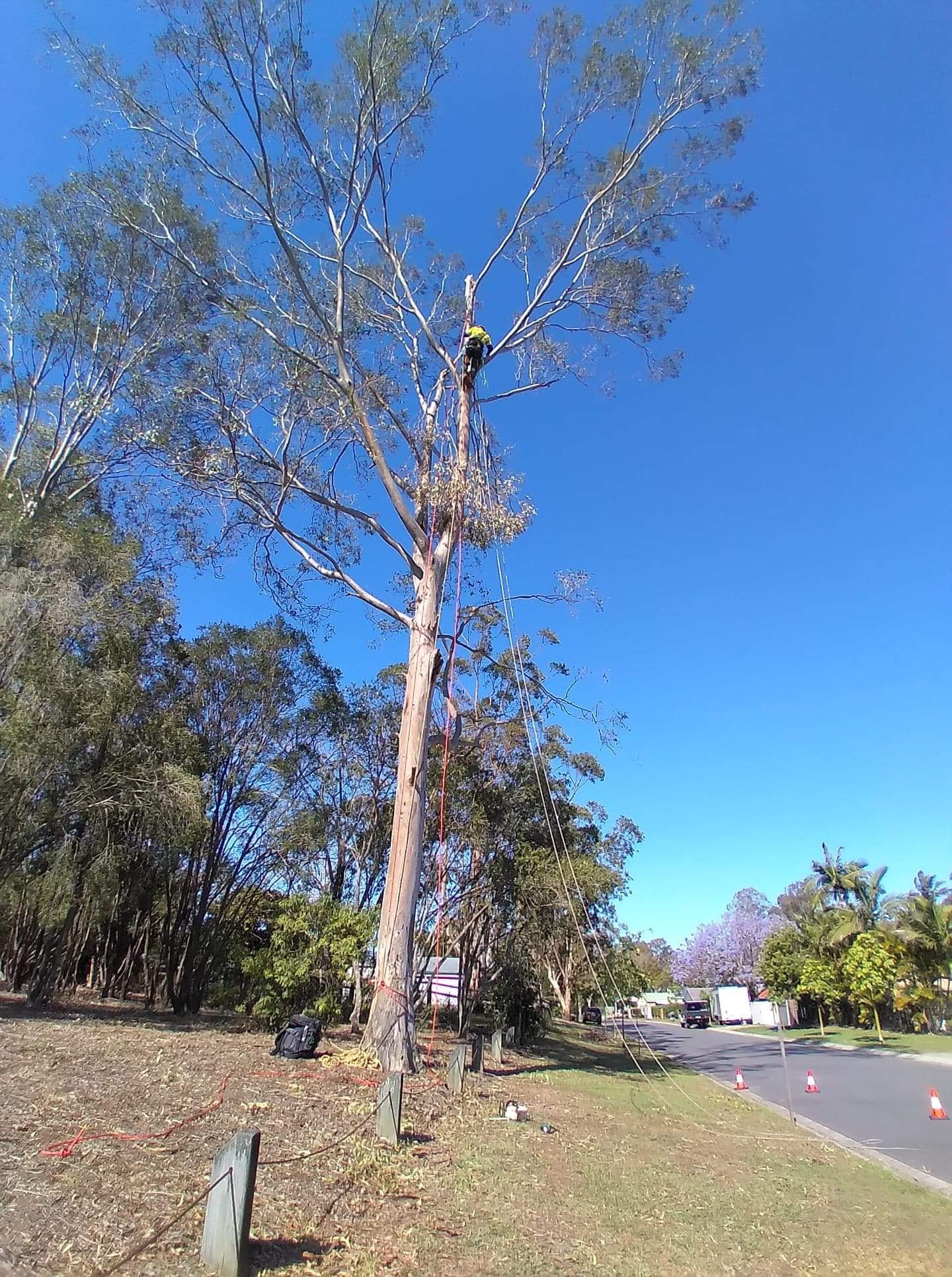 Arbortrack Services