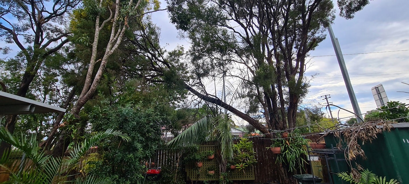 Arbortrack Services
