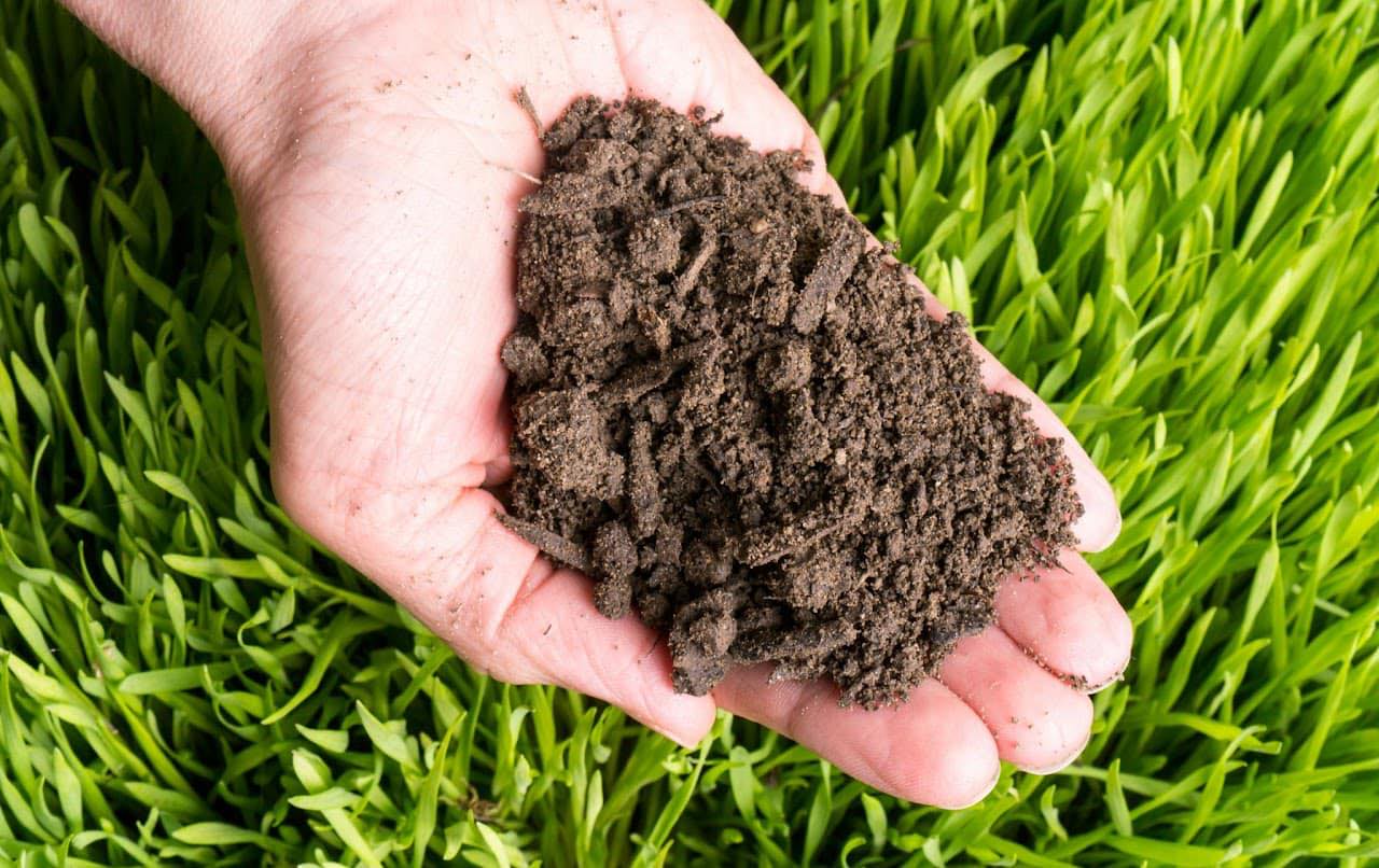 Today and Tomorrow Turf in Garner NC | Garner NC