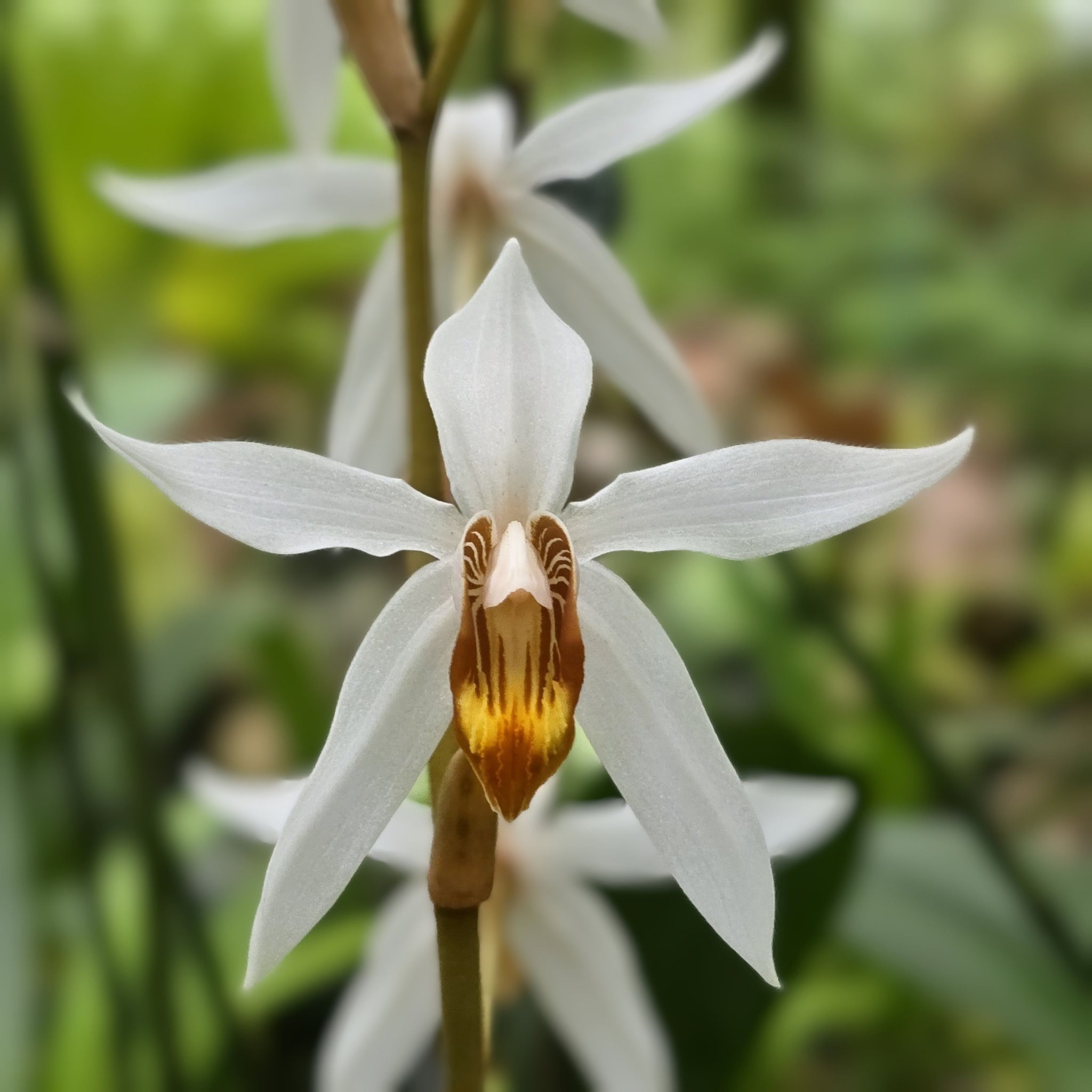 金雙甡花卉農場| Yilan City