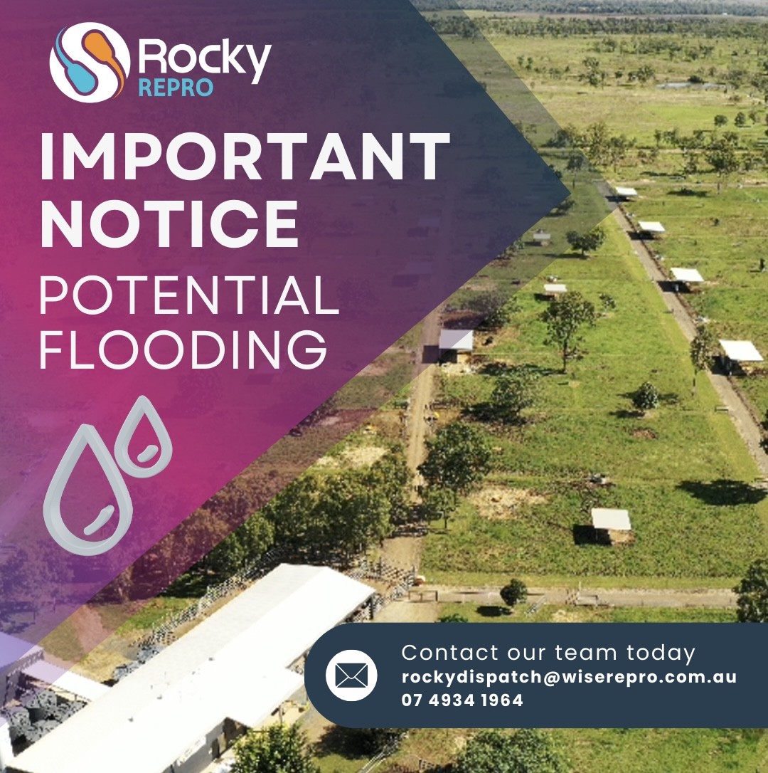 ⚠️ Flood Risk Notice ⚠️ With... - Rocky Repro Pty Ltd | Facebook