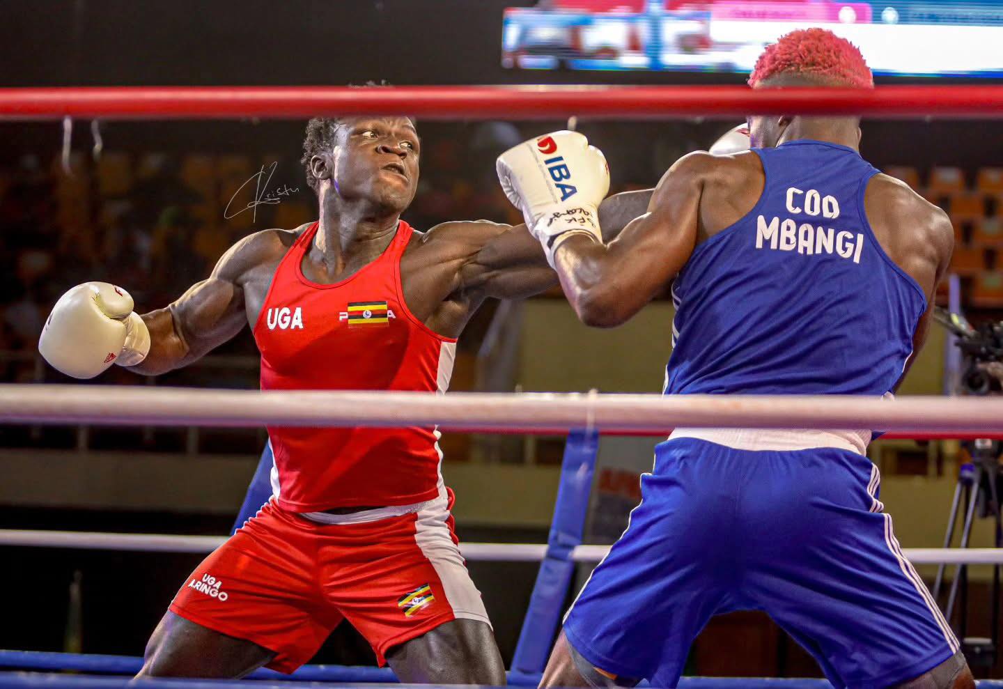 Udinga - 🔥 **EPIC BOXING SHOWDOWN ALERT!** 🔥 🗓️ TOMORROW NIGHT at ...