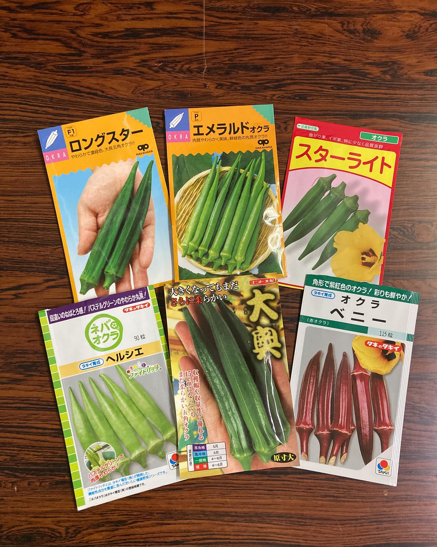オクラの種をまきました！ 今年は6種類を販売する予定です！ 定番品種