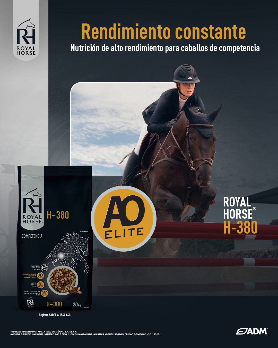 l carnitina para caballos Royal which plays a vital Does Glutathione Help Thyroid 3VS Nutrition Sabor:Cherry Magness