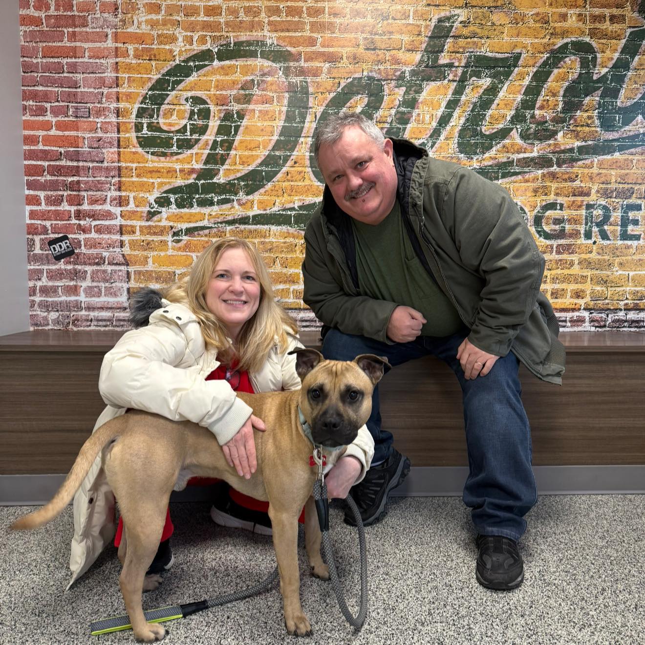 Detroit Dog Rescue | Detroit MI