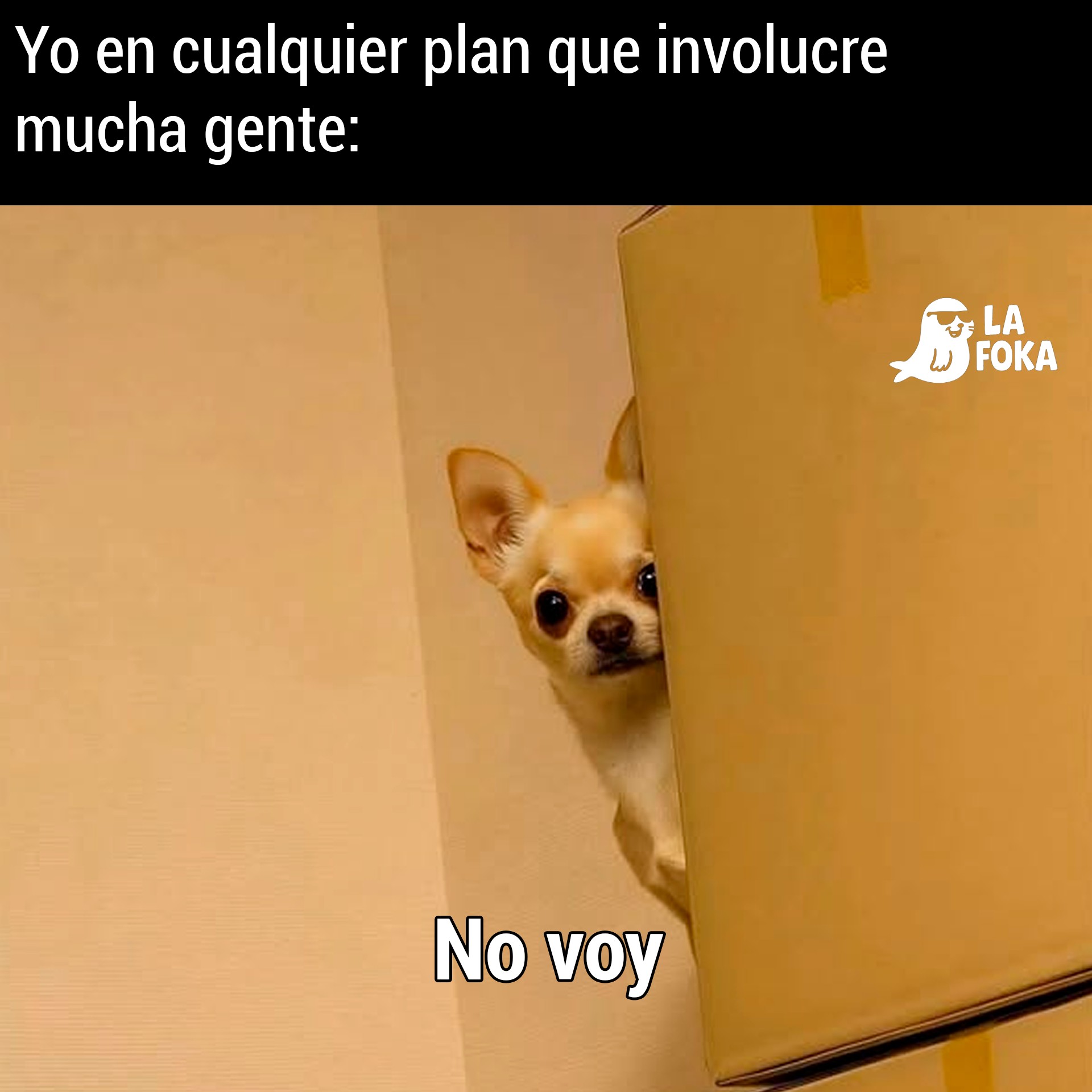 La Foka - La Foka added a new photo.