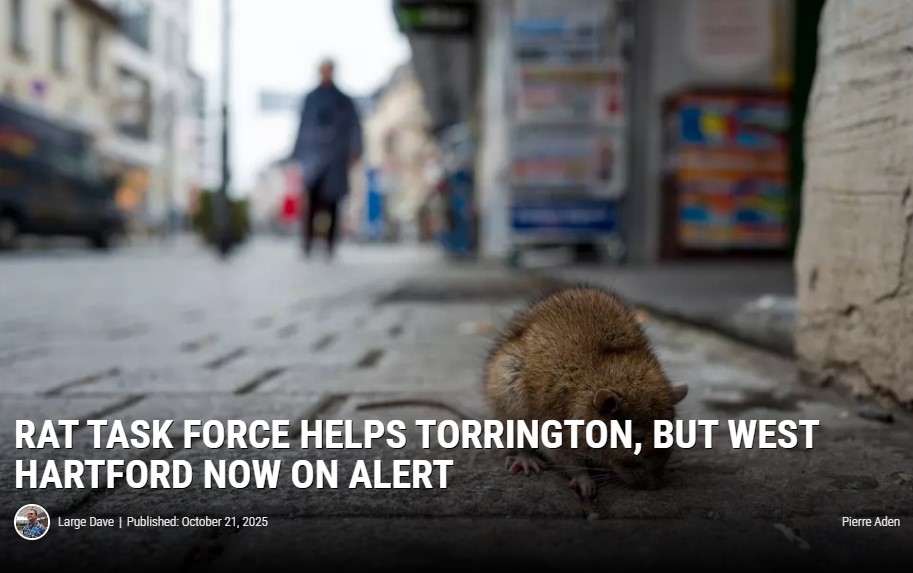 i95 WRKI - We got rid of them in Torrington, but West... | Facebook