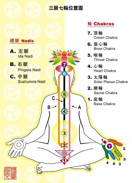 Aromaurayurveda阿育吠陀自然療法學院 關於阿育吠陀