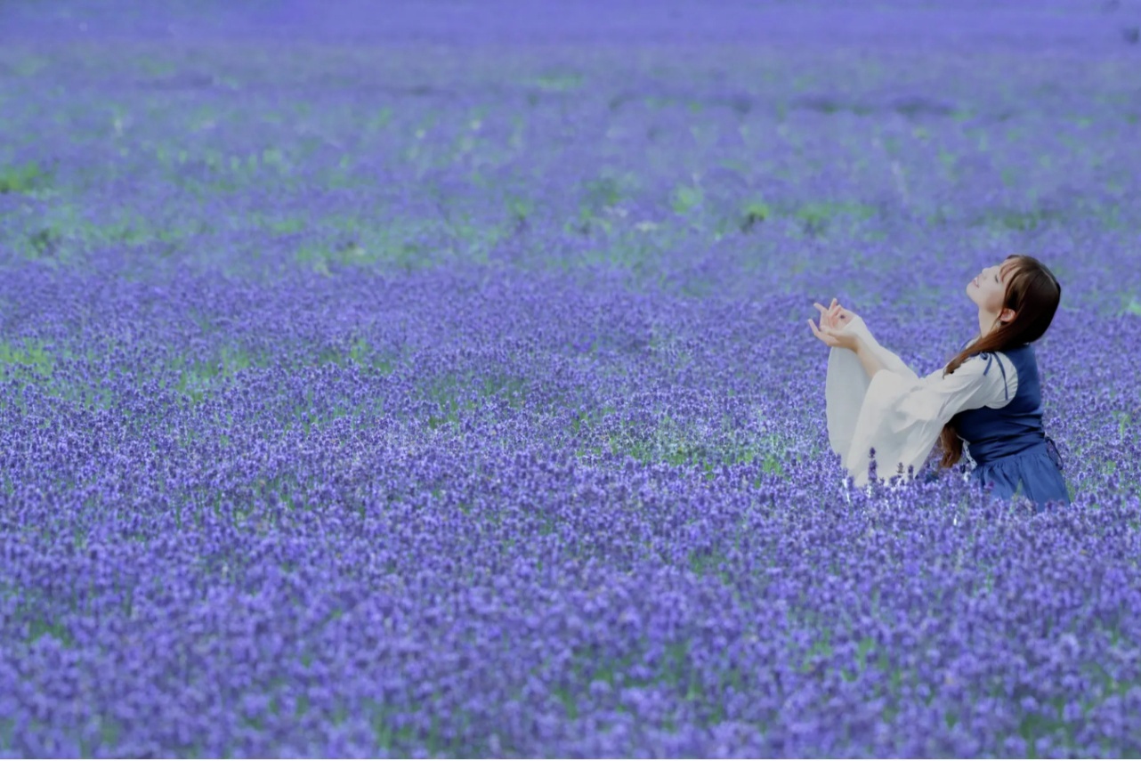 関東の「ラベンダー」の名所4選?✨ まるで紫の絨毯のように視界を埋め 