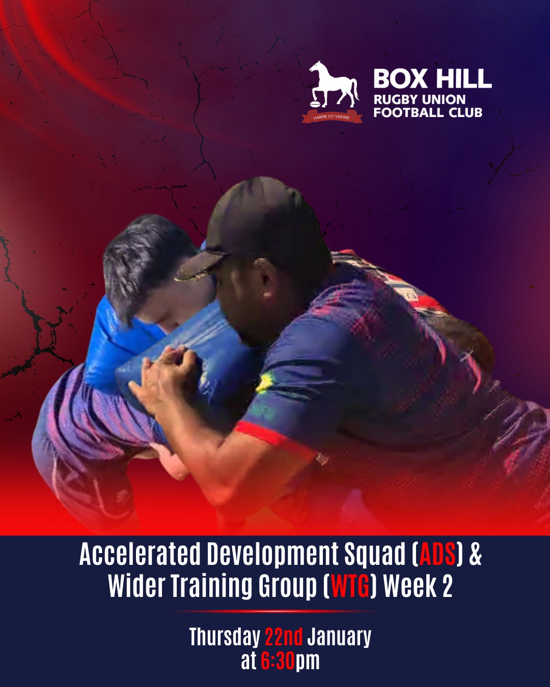 Box Hill Rugby Union Football Club | Box Hill VIC