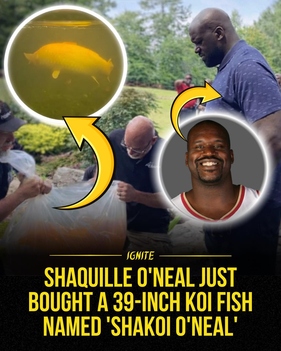 Shaquille O’Neal is known for doing... - Ignite your mind | Facebook