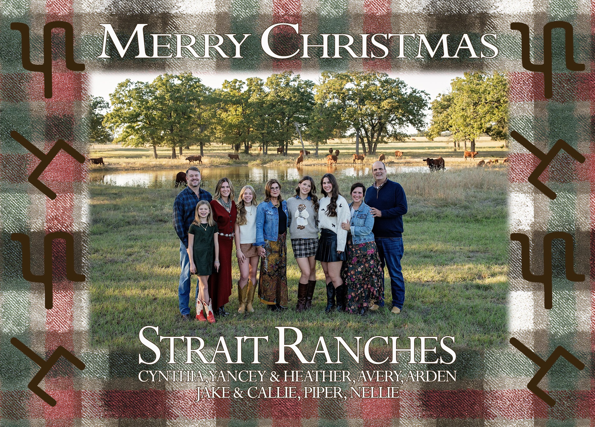 Strait - Strait Ranches is selling 50% Semen Interest and Full ...
