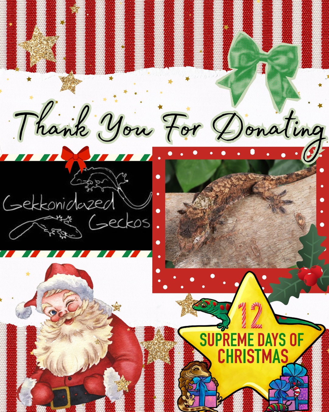 Supreme - A huge thank you to Gekkonidazed Geckos for your amazing ...