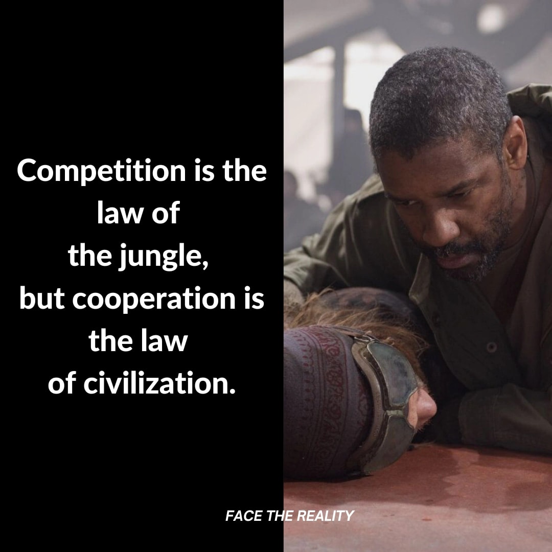 Face - Competition may be the law of the jungle, but cooperation is the ...