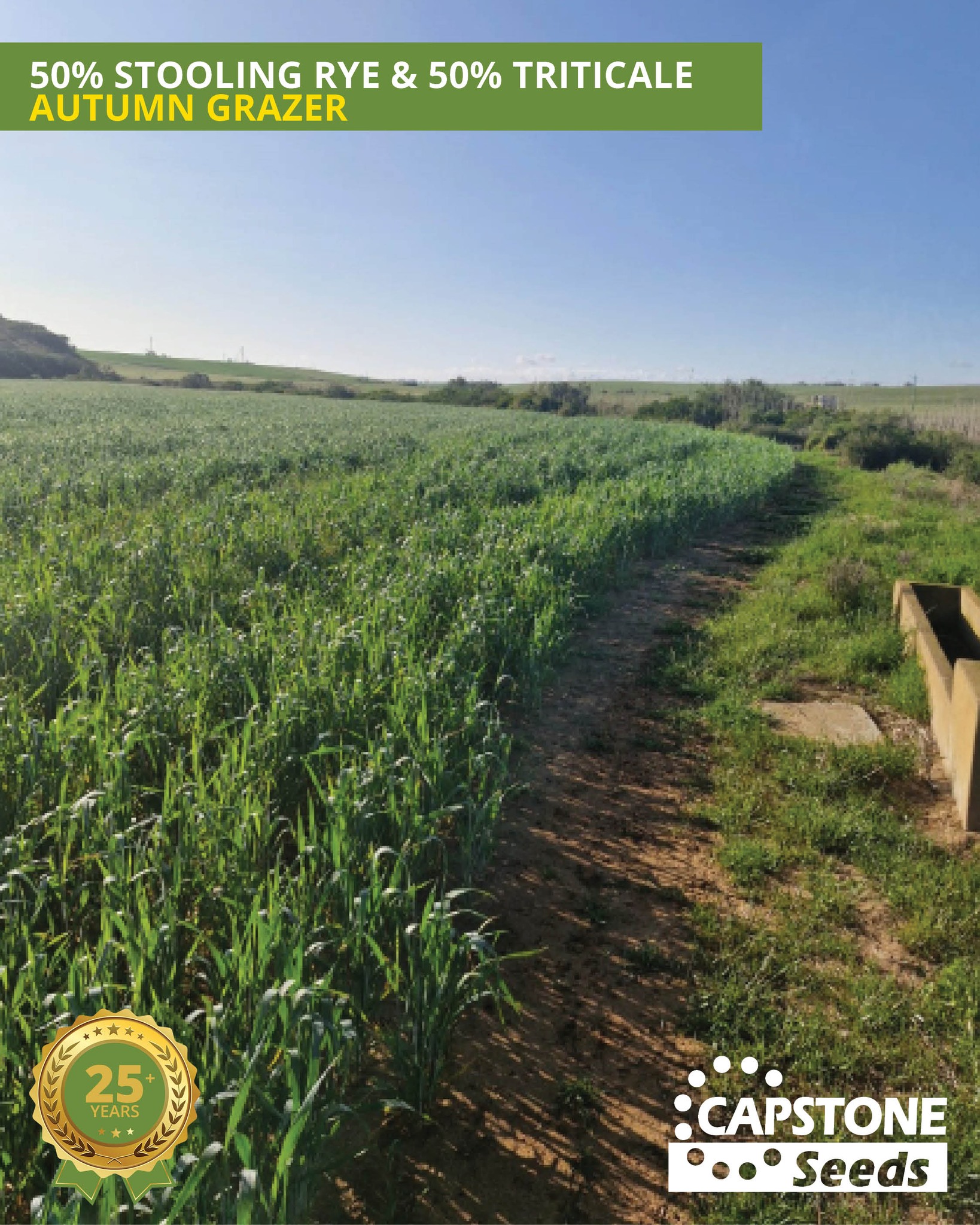 Capstone Seeds South Africa | Howick