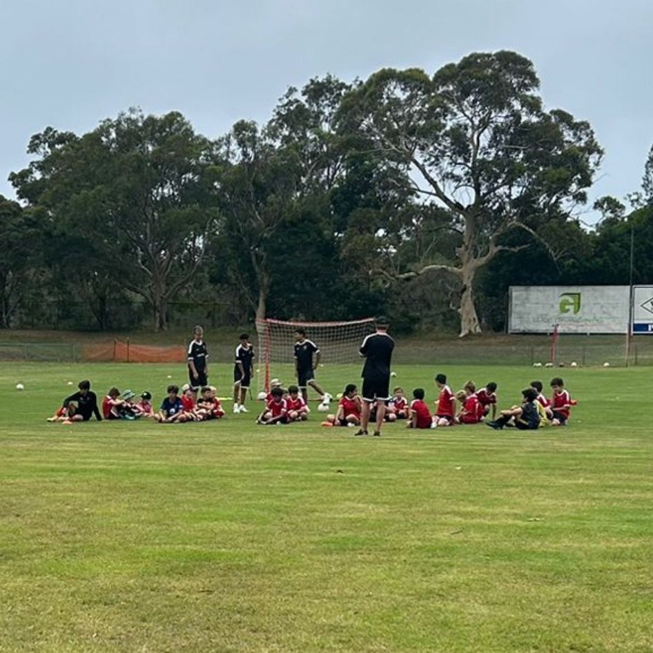 Wollongong Wolves Football Club - The Youth NPL 1 Club Championship has ...
