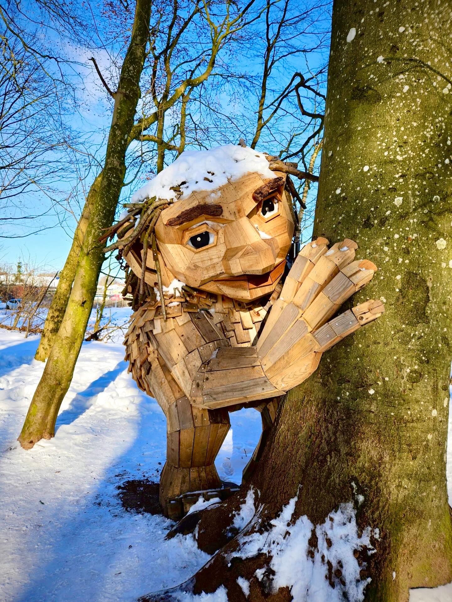 Snowy forests for weeks in Denmark. Now the snow is melting, and