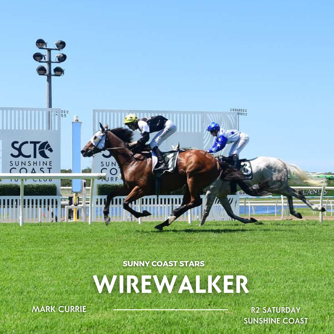 Sunshine Coast Turf Club added... - Sunshine Coast Turf Club