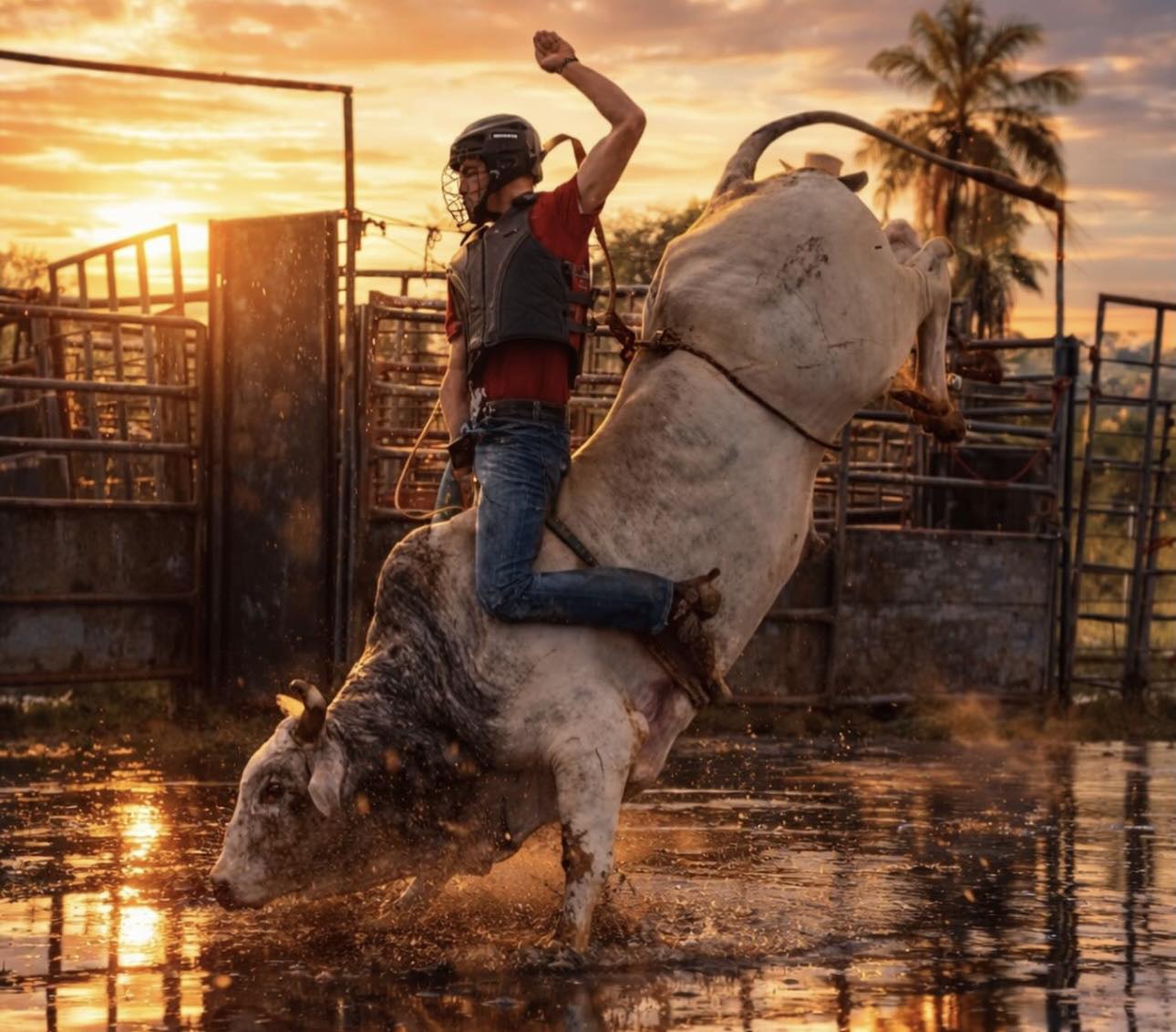 Rodeo - ¿Qué estás dispuesto a perder para ganar? Porque ganar cuesta ...