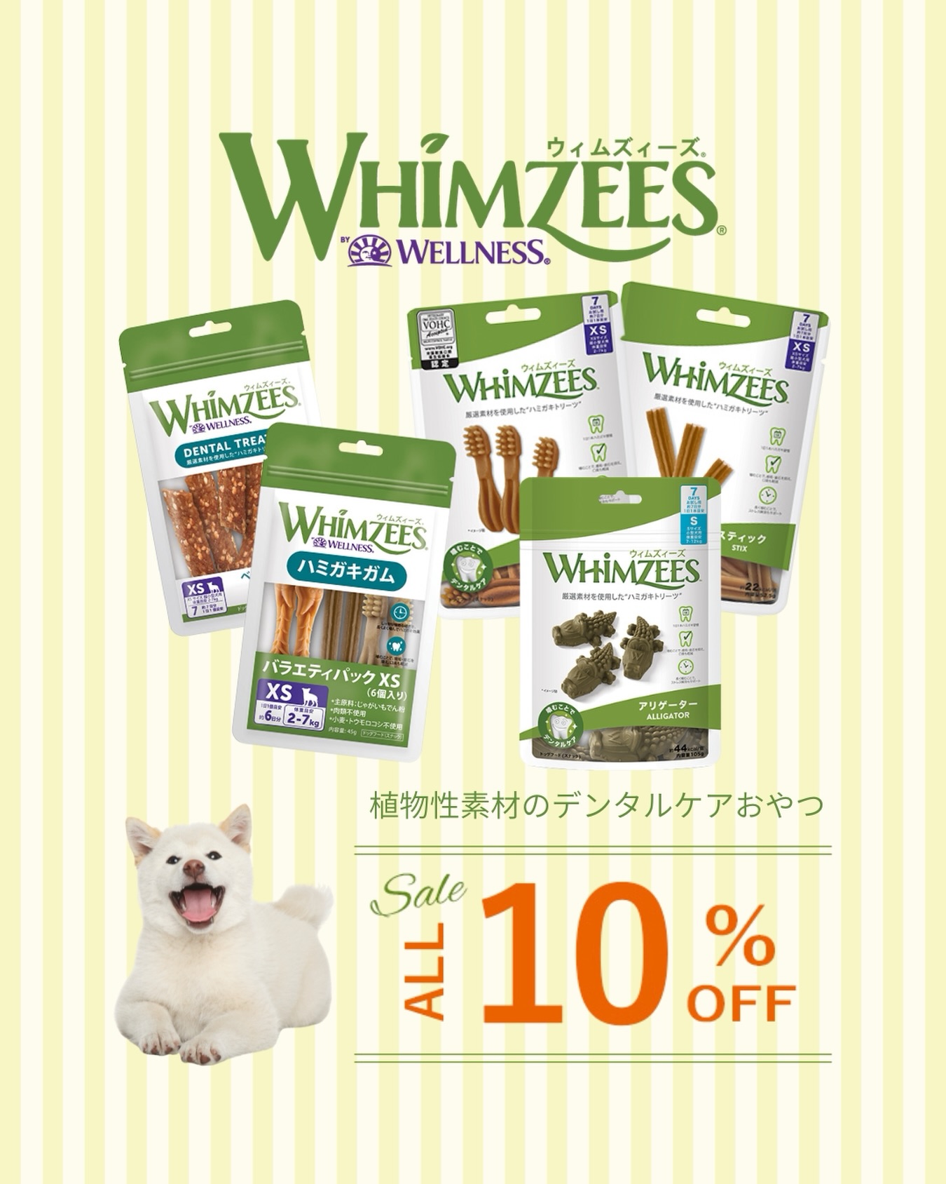 今だけ10%OFF✨ 植物性素材のデンタルケアおやつが 今だけ10%OFF実施中