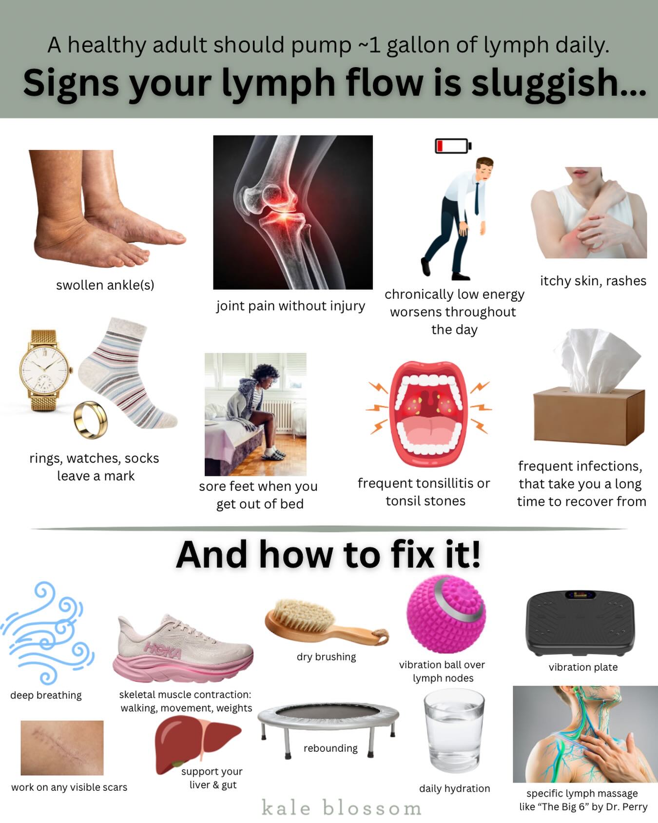 Walking supports healthy lymphatic flow