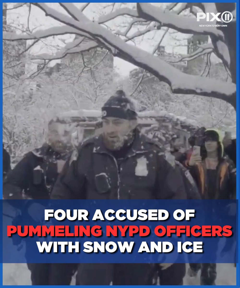 PIX11 - The suspects allegedly blitzed the officers while... | Facebook