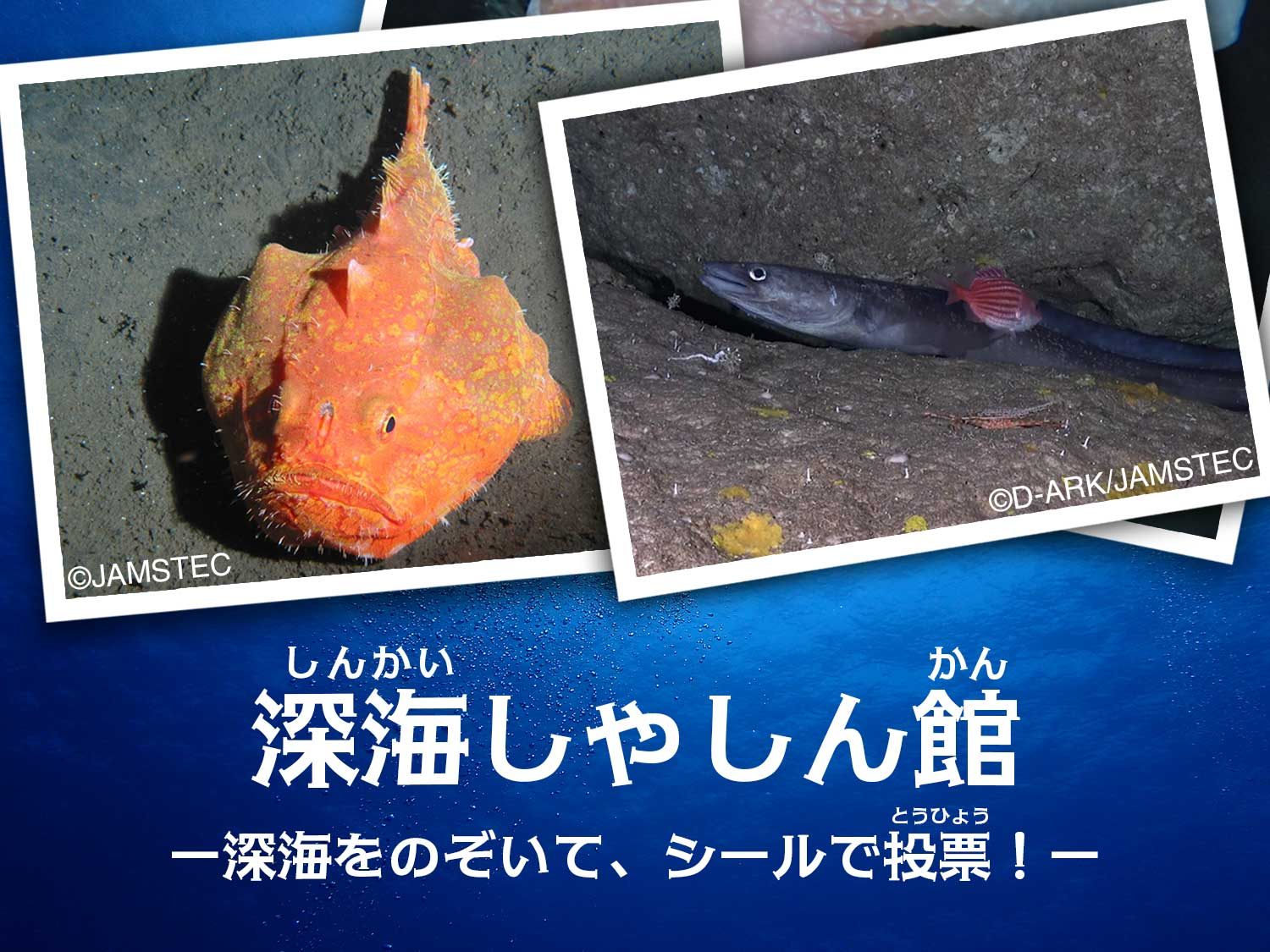 JAMSTEC（海洋研究開発機構） added a new photo. - JAMSTEC（海洋研究