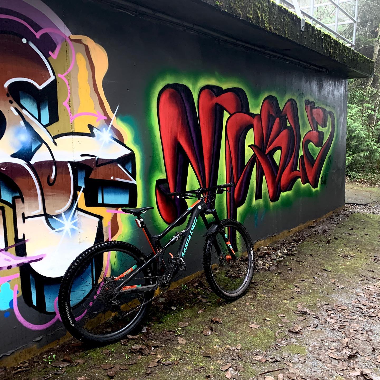 NORTH SHORE Riders