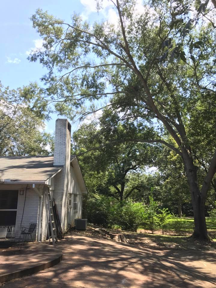 Sullivan Tree Service | Richland MS