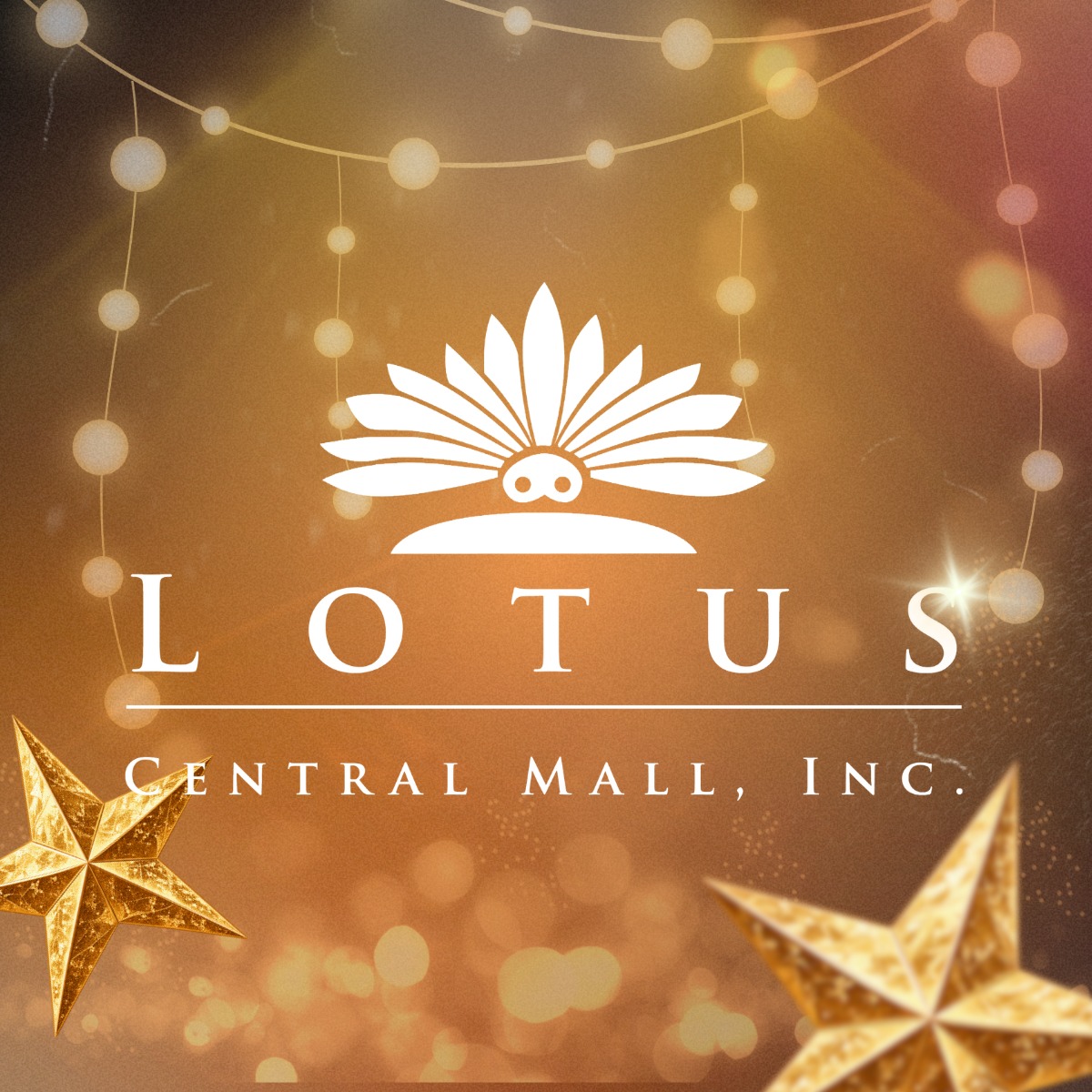 Lotus Mall - Lotus Mall Sports Arena is your home for... | Facebook