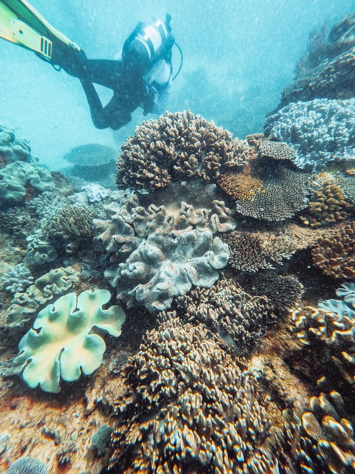 Salt - There’s nothing quite like diving into the crystal-clear waters ...