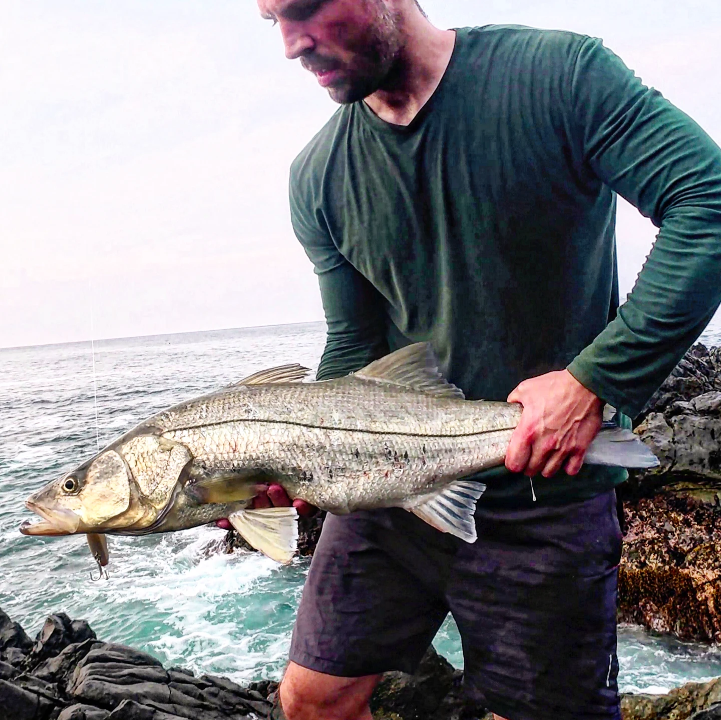 World Fishing Frenchies