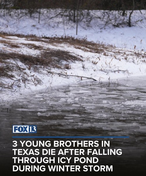Three brothers — ages 6, 8 and 9 — died in Texas during the