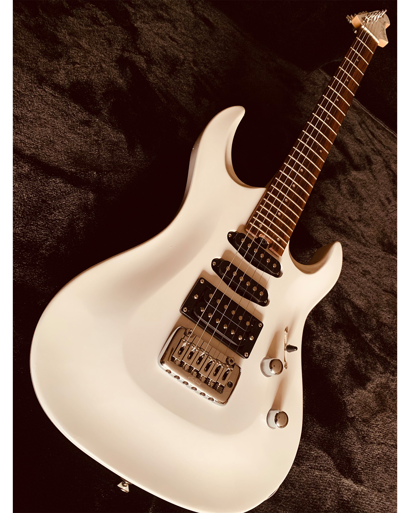 Aria Pro II Magna Series MAB 20/5 Bass Guitar with Custom